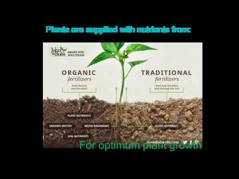 Plants are supplied with nutrients from: For optimum plant growth
