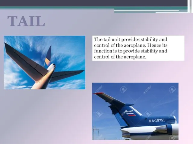 TAIL The tail unit provides stability and control of the