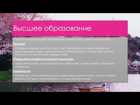 Высшее образование Для получения высшего образования можно пойти одним из