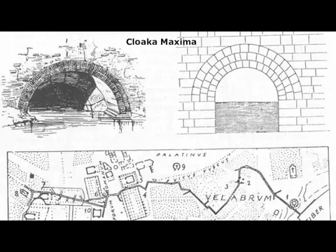 Cloaka Maxima