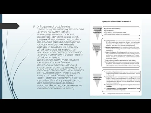 У її структурі розрізняють теоретичну педагогічну психологію (вивчає предмет, об'єкт,