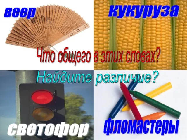 фломастеры кукуруза веер светофор Что общего в этих словах? Найдите различие?