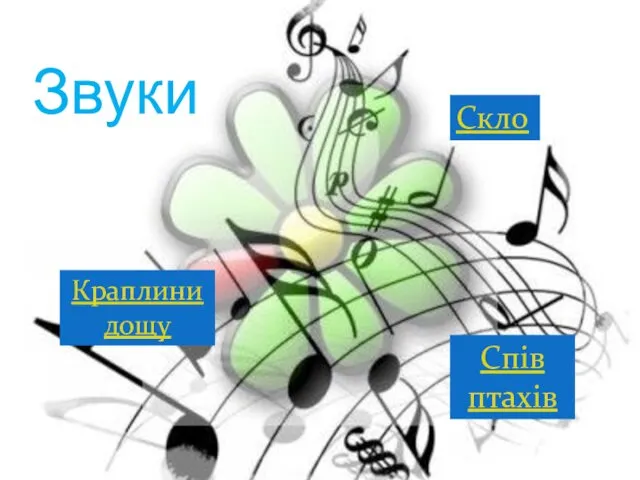 Звуки Скло Спів птахів Краплини дощу