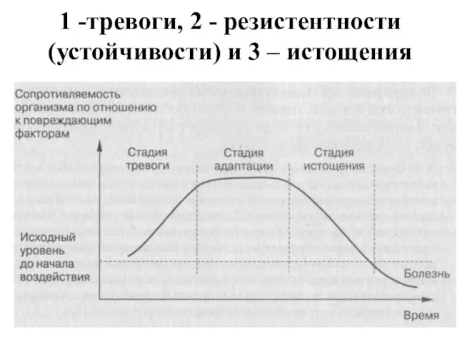 1 -тревоги, 2 - резистентности (устойчивости) и 3 – истощения