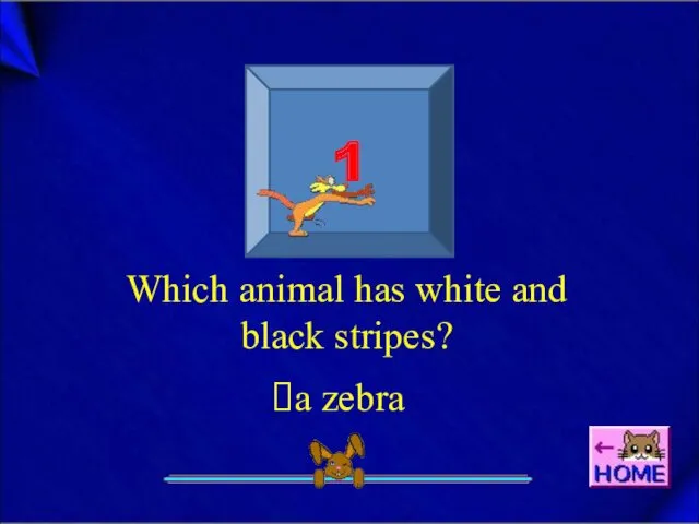 1 Which animal has white and black stripes? a zebra