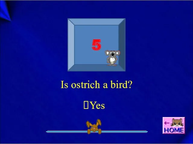 5 Is ostrich a bird? Yes