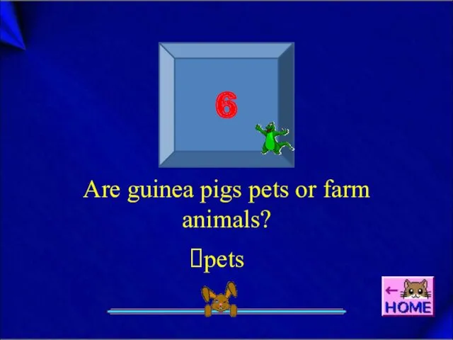 6 Are guinea pigs pets or farm animals? pets