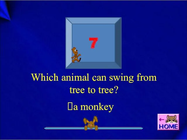 7 Which animal can swing from tree to tree? a monkey