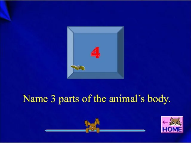 4 Name 3 parts of the animal’s body.
