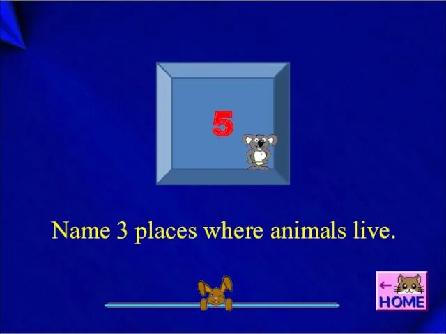 5 Name 3 places where animals live.