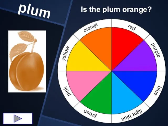 plum Is the plum orange?