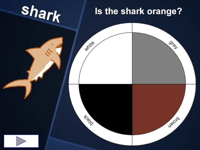 shark Is the shark orange?