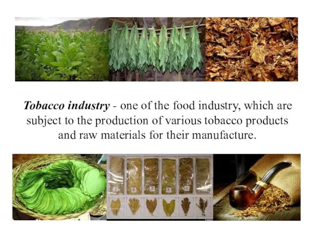 Tobacco industry - one of the food industry, which are