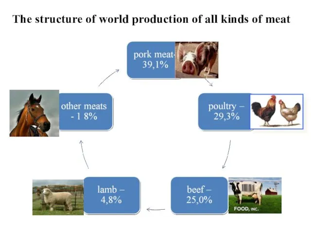 The structure of world production of all kinds of meat
