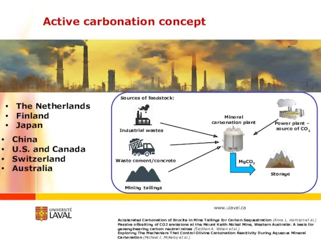 Accelerated Carbonation of Brucite in Mine Tailings for Carbon Sequestration