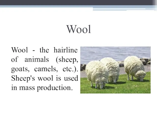 Wool Wool - the hairline of animals (sheep, goats, camels, etc.). Sheep's wool