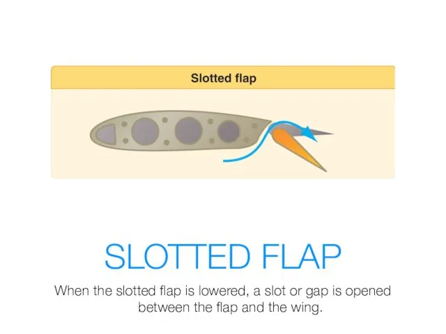 SLOTTED FLAP When the slotted flap is lowered, a slot