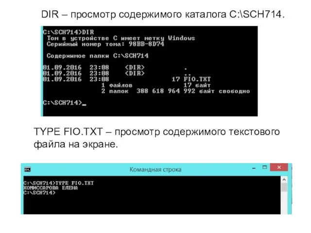 DIR – просмотр содержимого каталога C:\SCH714. TYPE FIO.TXT – просмотр содержимого текстового файла на экране.