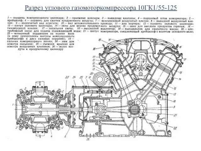 Разрез углового газомоторкомпрессора 10ГК1/55-125