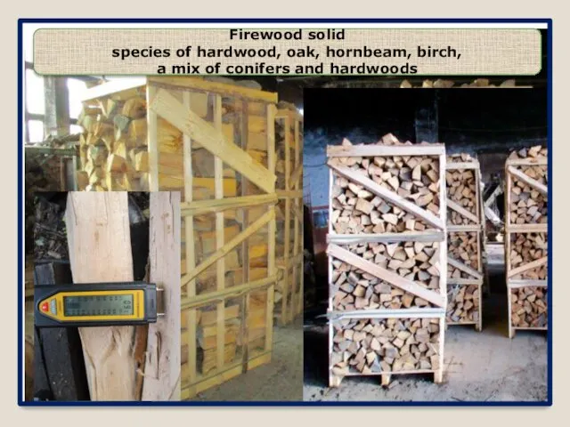 Firewood solid species of hardwood, oak, hornbeam, birch, a mix of conifers and hardwoods