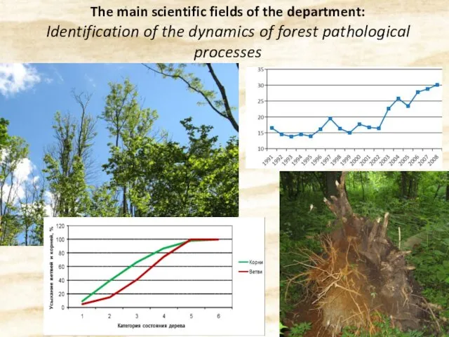 The main scientific fields of the department: Identification of the dynamics of forest pathological processes