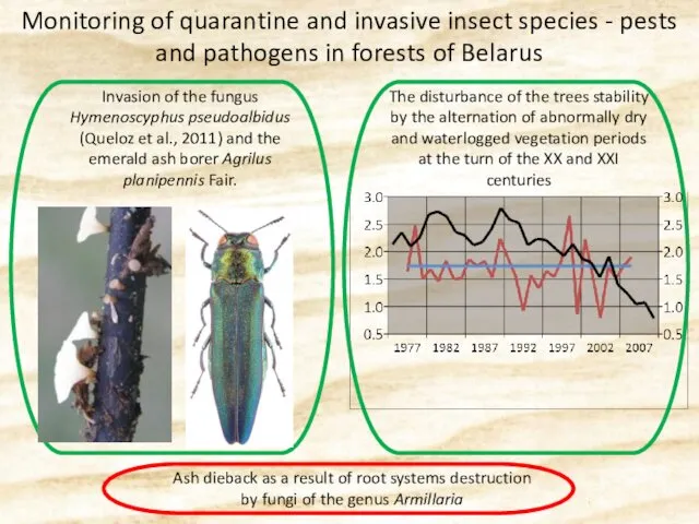 Invasion of the fungus Hymenoscyphus pseudoalbidus (Queloz et al., 2011)