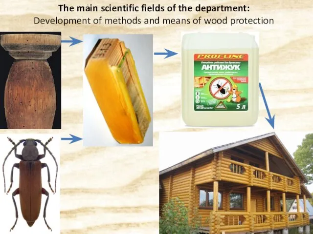 The main scientific fields of the department: Development of methods and means of wood protection