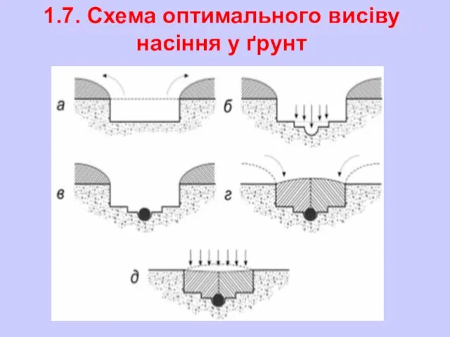 1.7. Схема оптимального висіву насіння у ґрунт