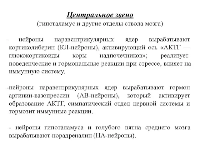 Центральное звено (гипоталамус и другие отделы ствола мозга) нейроны паравентрикулярных