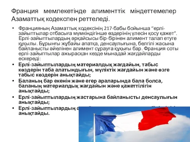 Франция мемлекетінде алименттік міндеттемелер Азаматтық кодекспен реттеледі. Францияның Азаматтық кодексінің