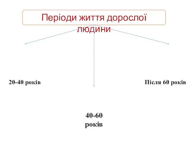 20-40 років 40-60 років Після 60 років Періоди життя дорослої людини