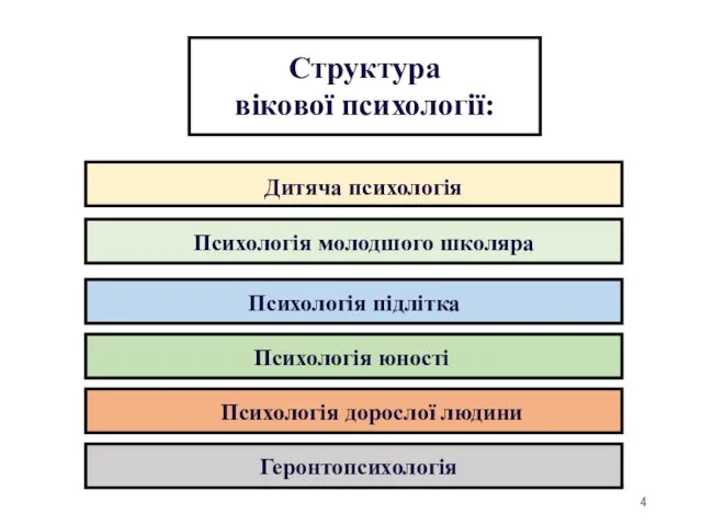 Структура вікової психології: Дитяча психологія Психологія молодшого школяра Психологія підлітка Психологія юності Психологія дорослої людини Геронтопсихологія