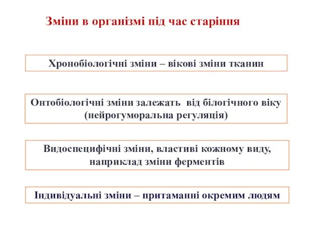 Хронобіологічні зміни – вікові зміни тканин Онтобіологічні зміни залежать від