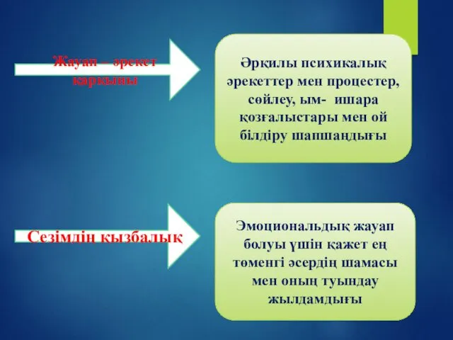 Жауап – әрекет қарқыны Әрқилы психикалық әрекеттер мен процестер,сөйлеу, ым-