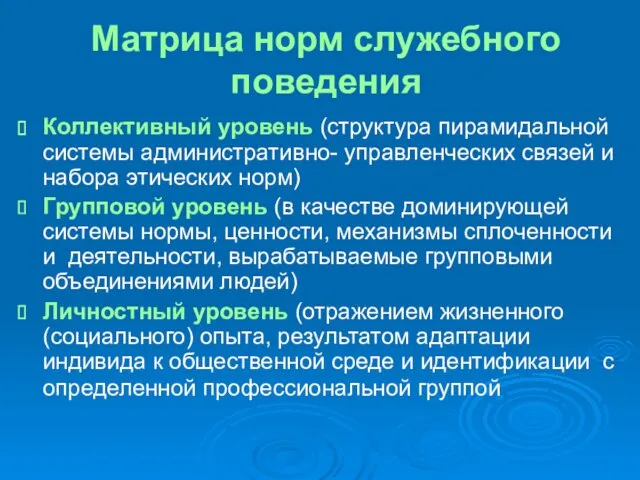 Матрица норм служебного поведения Коллективный уровень (структура пирамидальной системы административно-