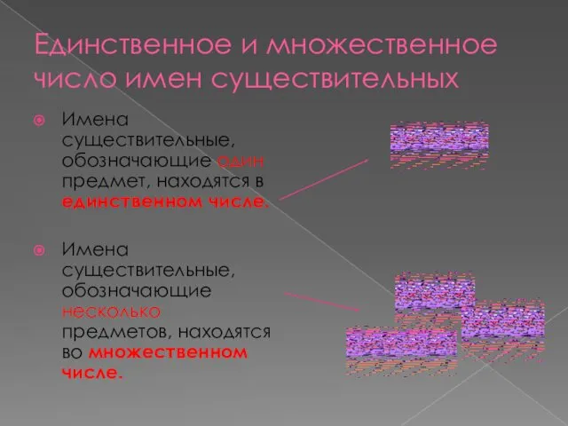 Единственное и множественное число имен существительных Имена существительные, обозначающие один