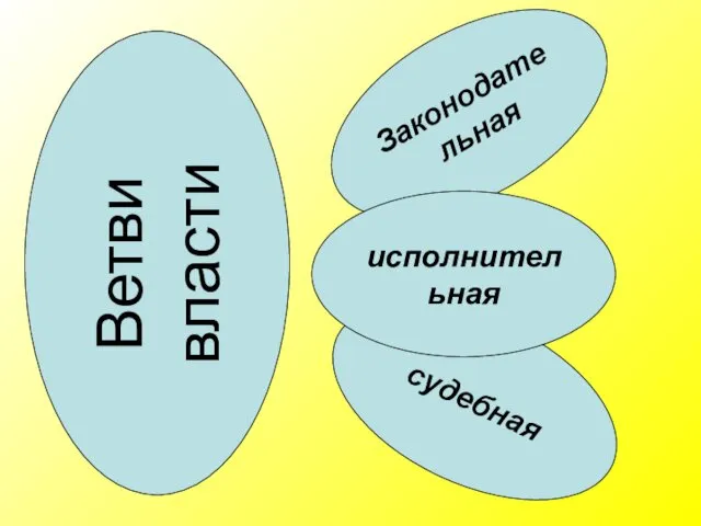 Ветви власти Законодательная судебная исполнительная