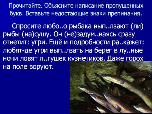 Прочитайте. Объясните написание пропущенных букв. Вставьте недостающие знаки препинания. Спросите