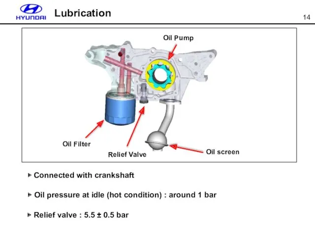 ▶ Connected with crankshaft ▶ Oil pressure at idle (hot