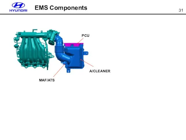 EMS Components