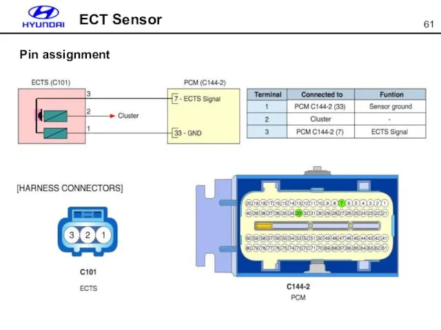 ECT Sensor Pin assignment