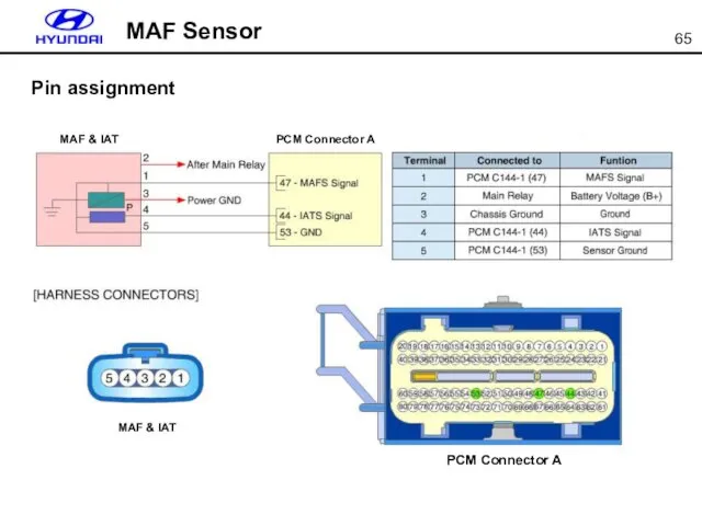 MAF Sensor Pin assignment