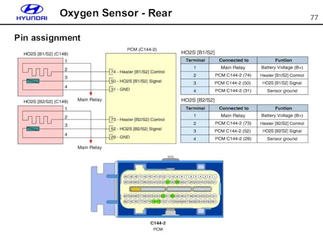 Oxygen Sensor - Rear Pin assignment