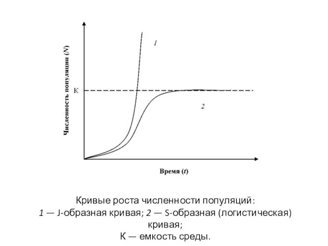 Кривые роста численности популяций: 1 — J-образная кривая; 2 —