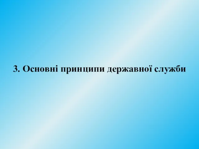 3. Основні принципи державної служби