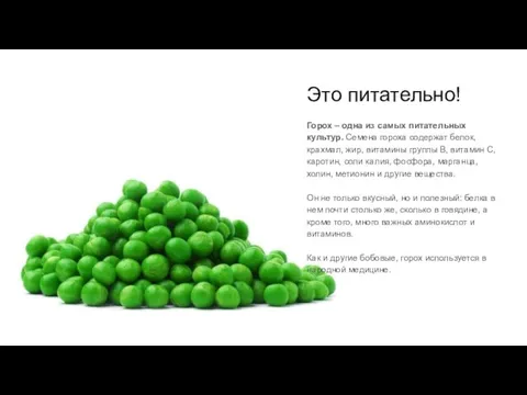 Горох – одна из самых питательных культур. Семена гороха содержат белок, крахмал, жир,