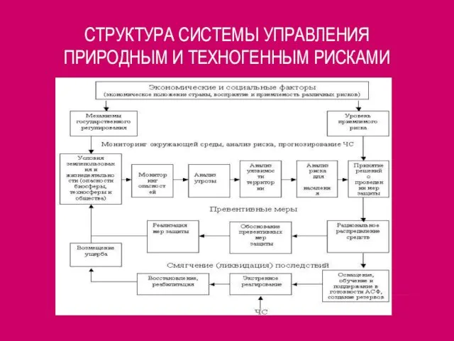 СТРУКТУРА СИСТЕМЫ УПРАВЛЕНИЯ ПРИРОДНЫМ И ТЕХНОГЕННЫМ РИСКАМИ