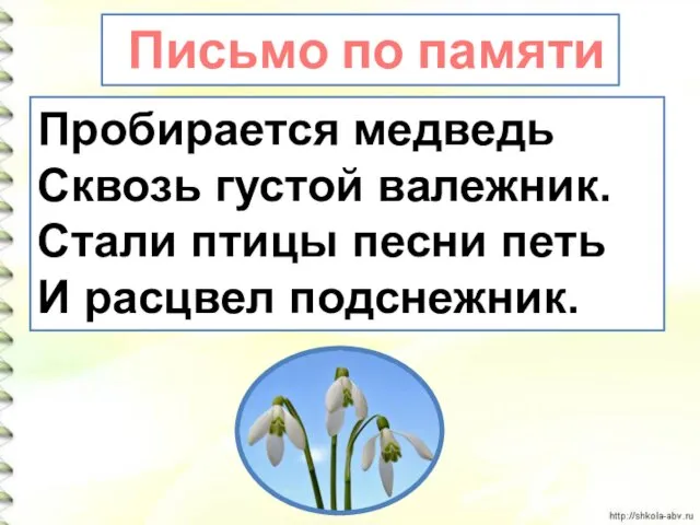 Пробирается медведь Сквозь густой валежник. Стали птицы песни петь И расцвел подснежник. Письмо по памяти