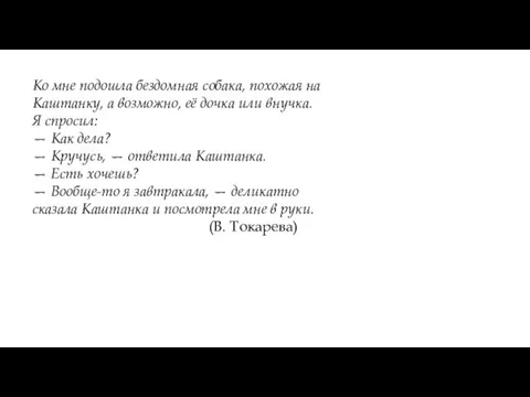 Ко мне подошла бездомная собака, похожая на Каштанку, а возможно, её дочка или