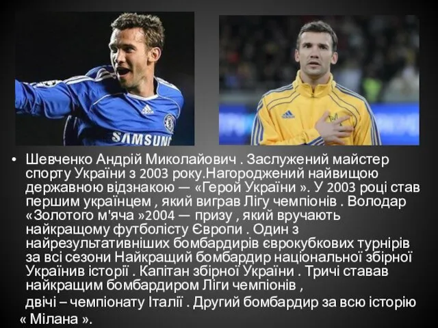 Шевченко Андрій Миколайович . Заслужений майстер спорту України з 2003